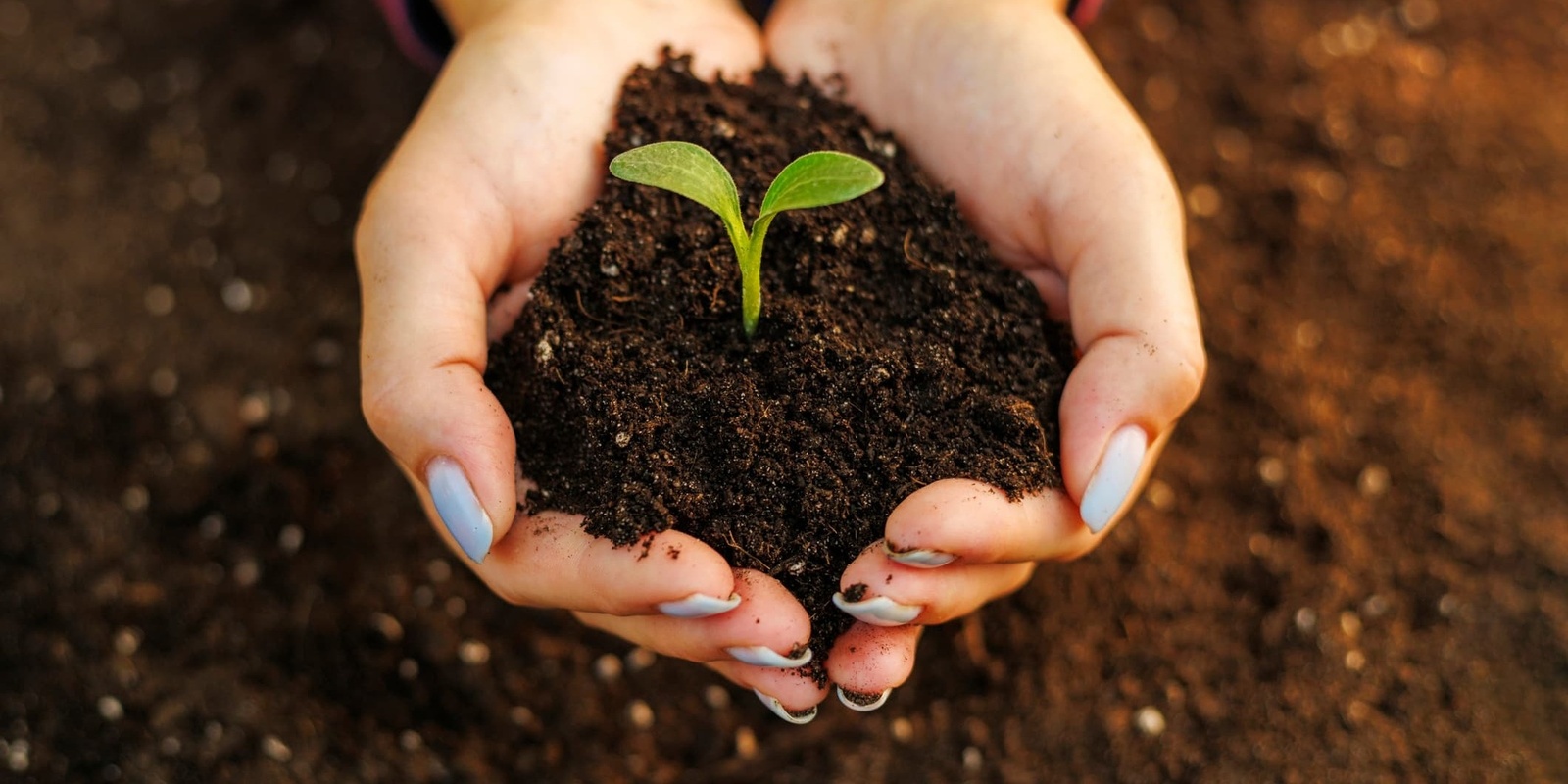 Banner image for Healthy Soil