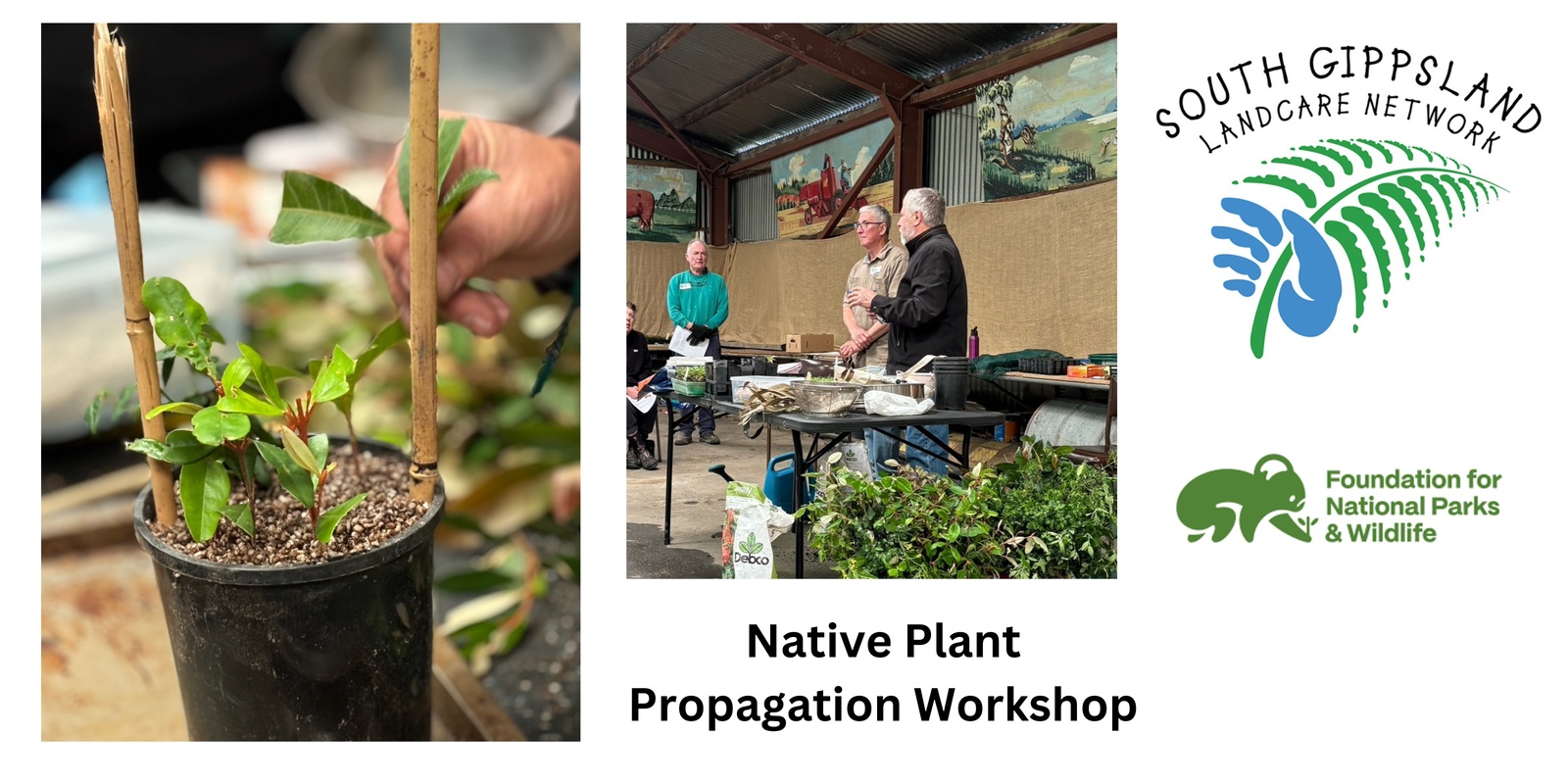 Banner image for Native Plant Propagation Workshop with Ian Starkey and Jim Ahon