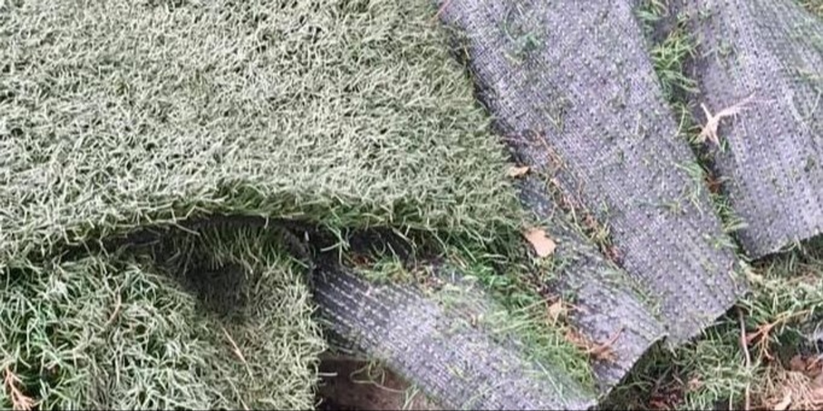 Banner image for Artificial Grass - A Cause for Concern