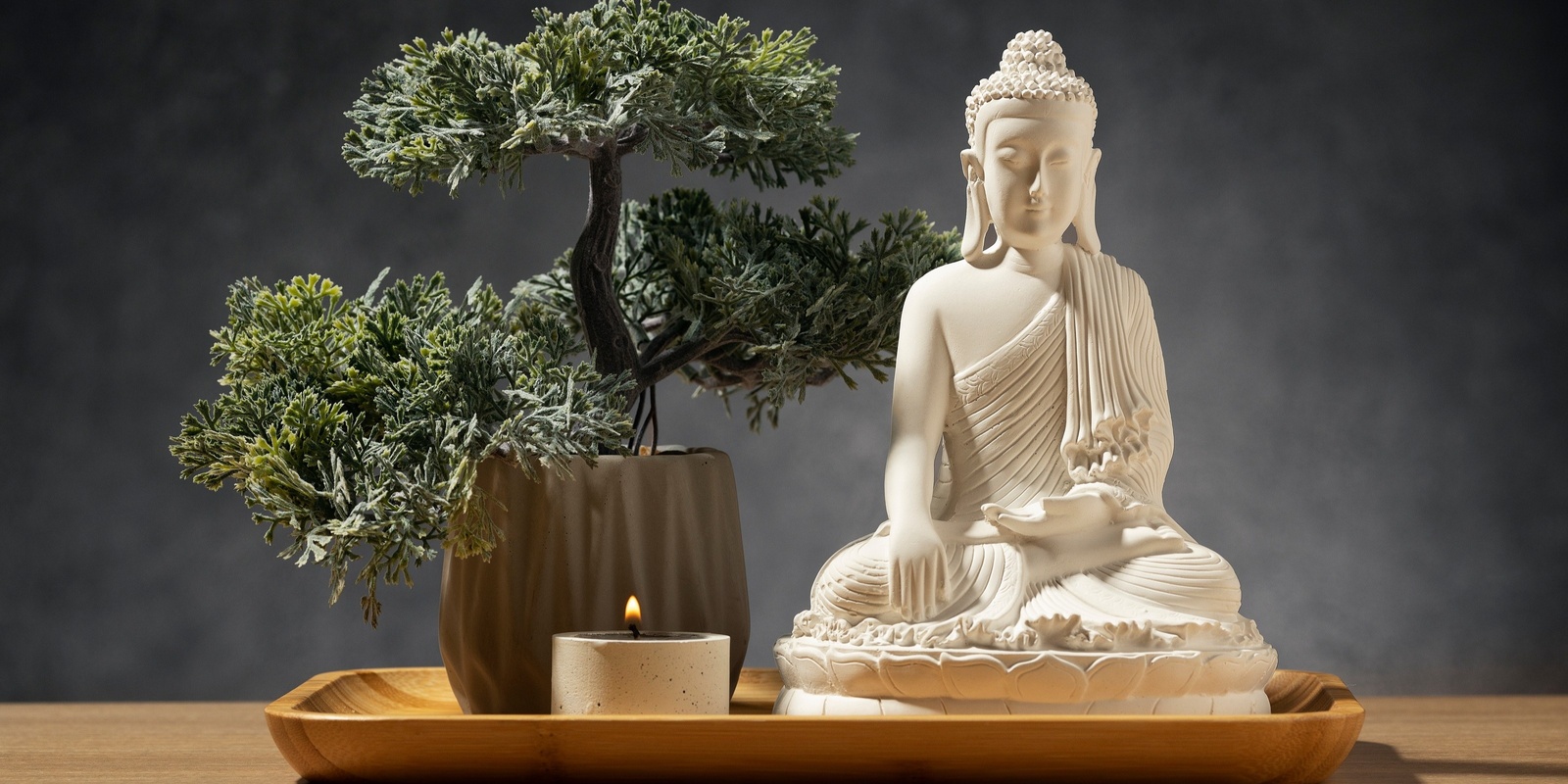 Banner image for The Art of Bonsai for Inner Peace  • Self Care for Seniors • Ballarat Library