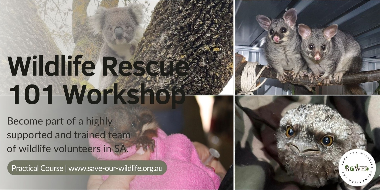 Banner image for Wildlife Rescue 101 Online & Practical Workshop