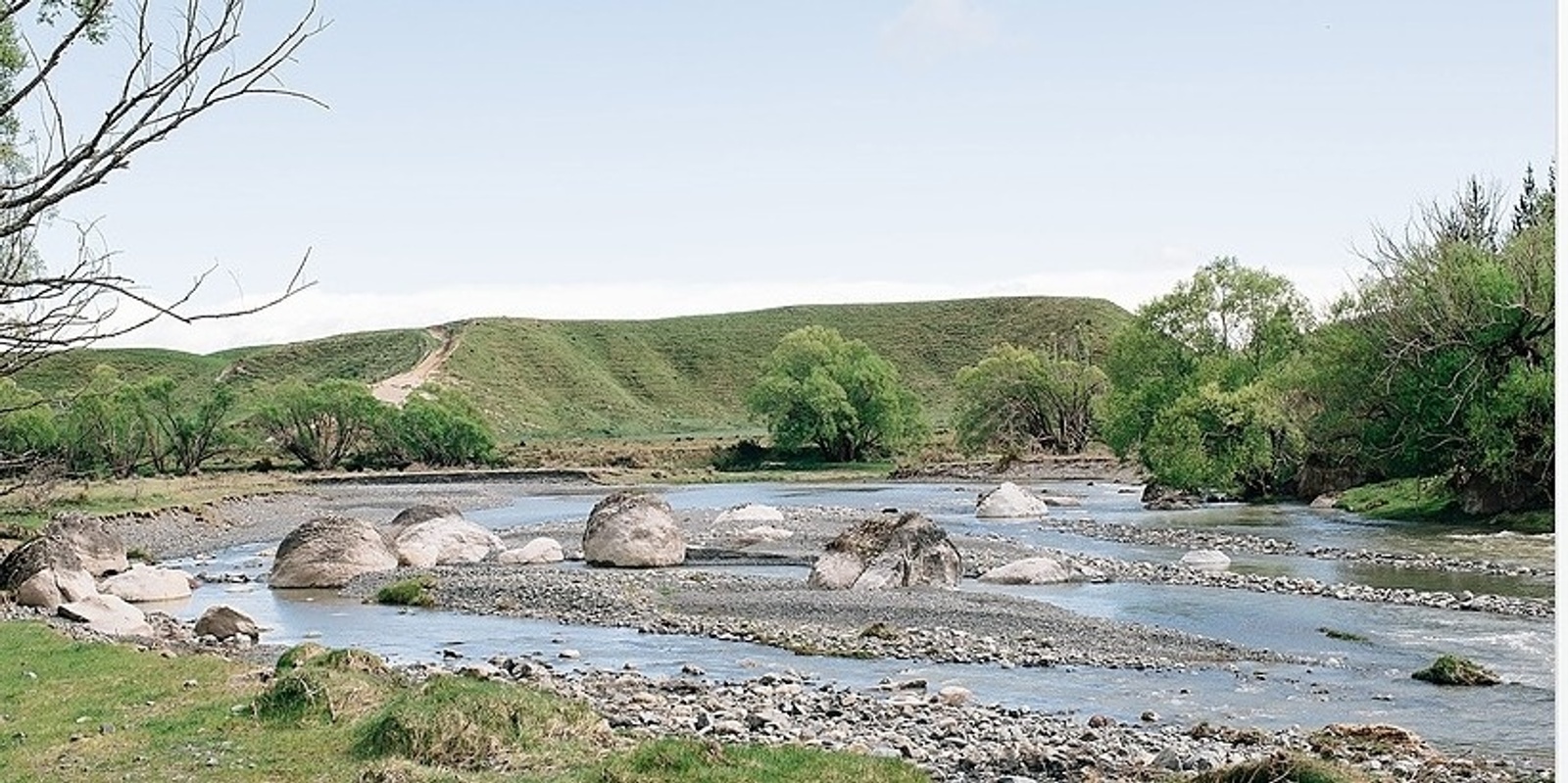 Banner image for Fossil and Concretion tour with Dr Kate Pedley Geologist, University of Canterbury. 