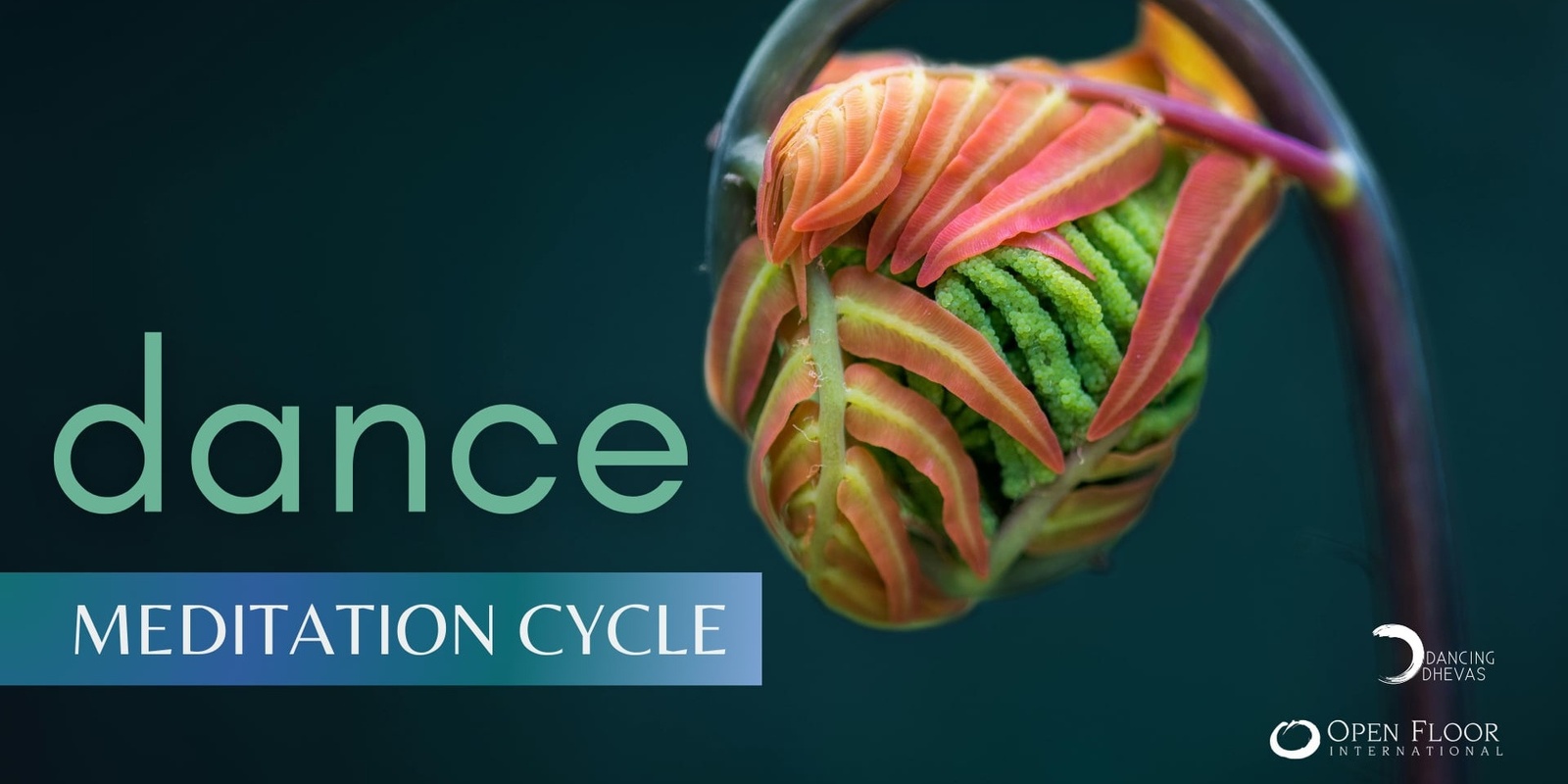 Banner image for Dance Meditation Cycle 