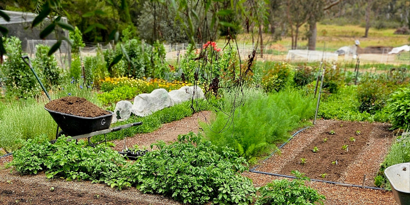 Banner image for World Soil Day Celebration