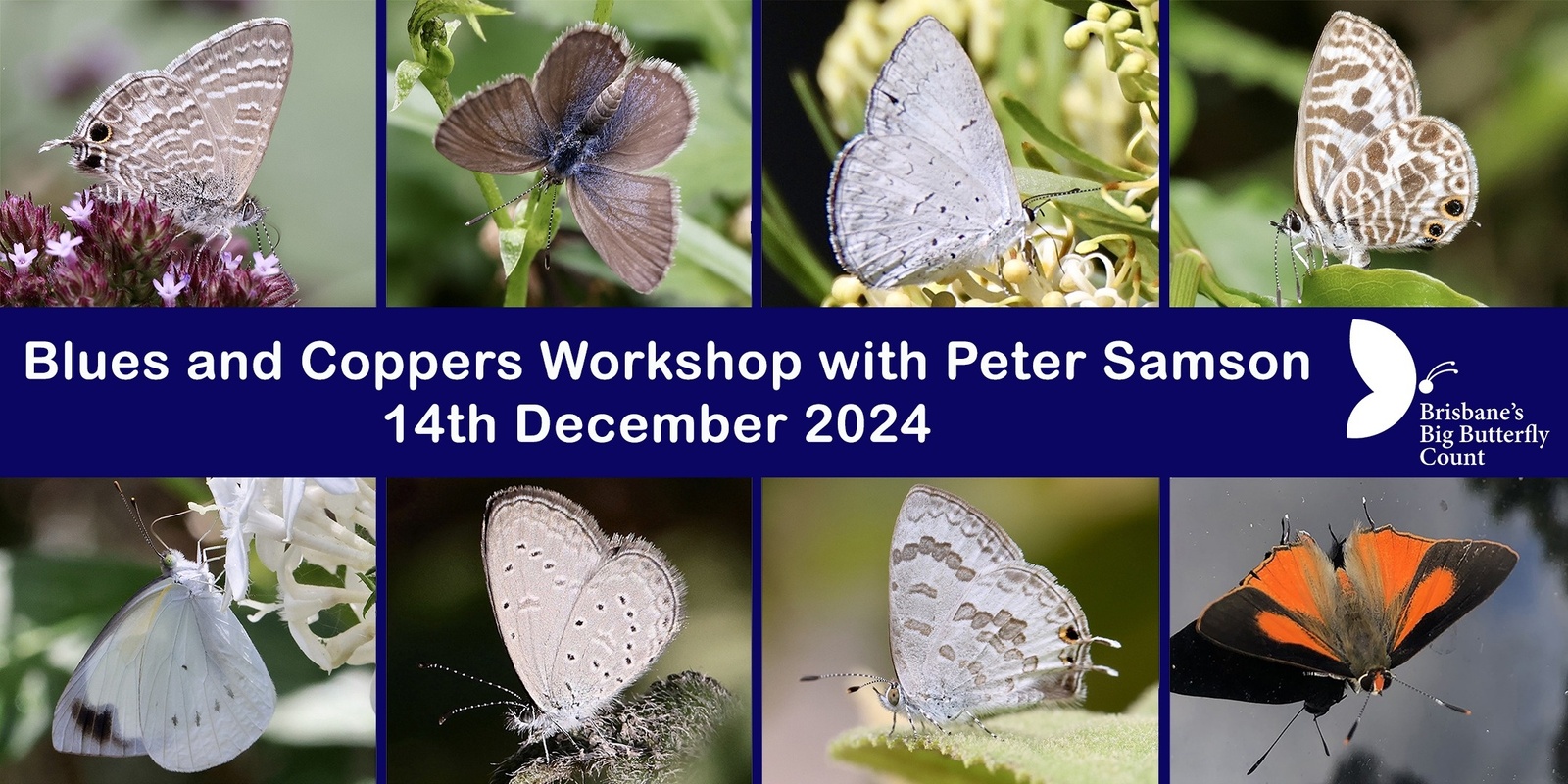 Banner image for Blues and Coppers Workshop with Peter Samson