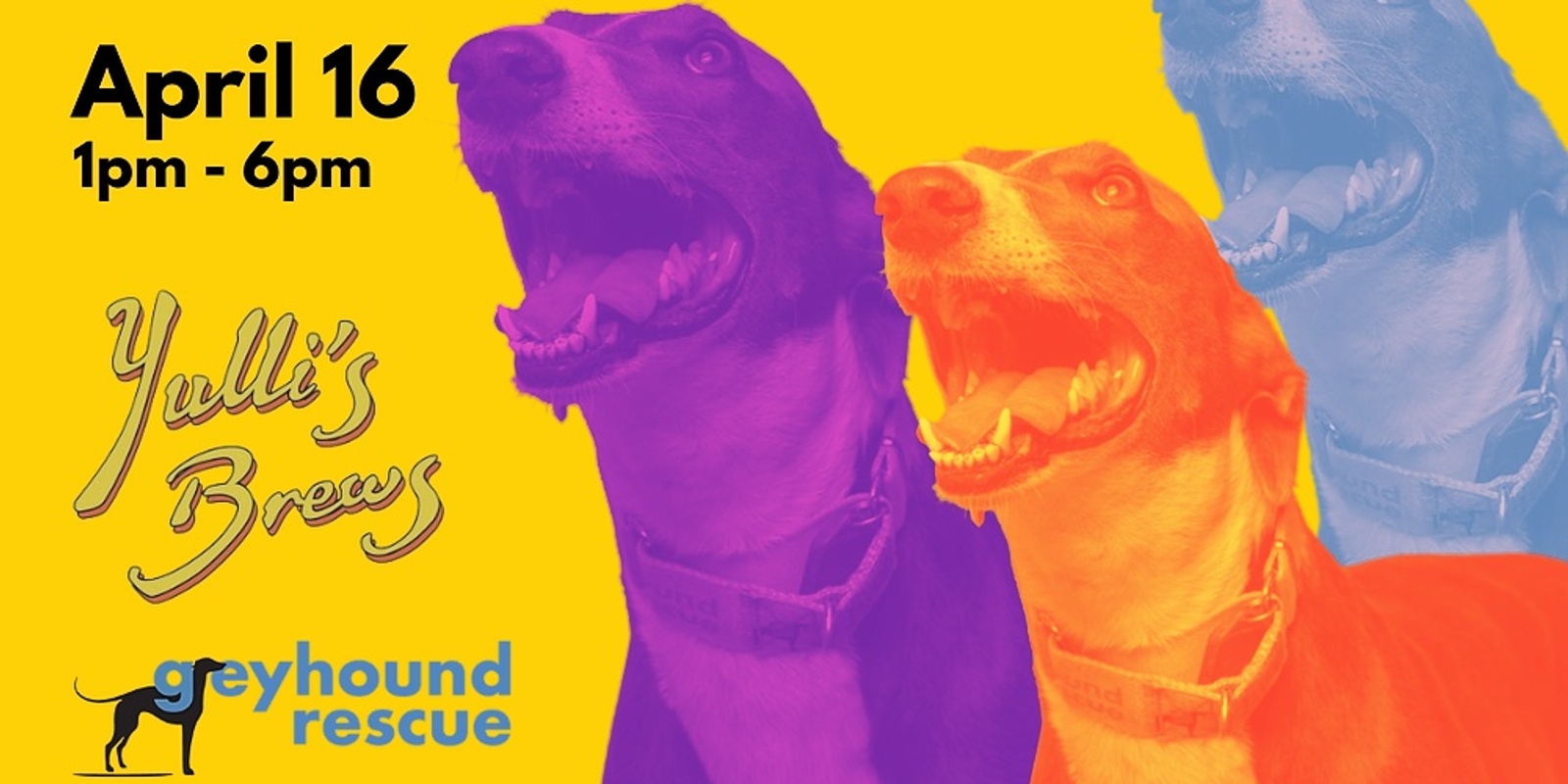 Banner image for Greyhound Rescue - Adoption & Ales 