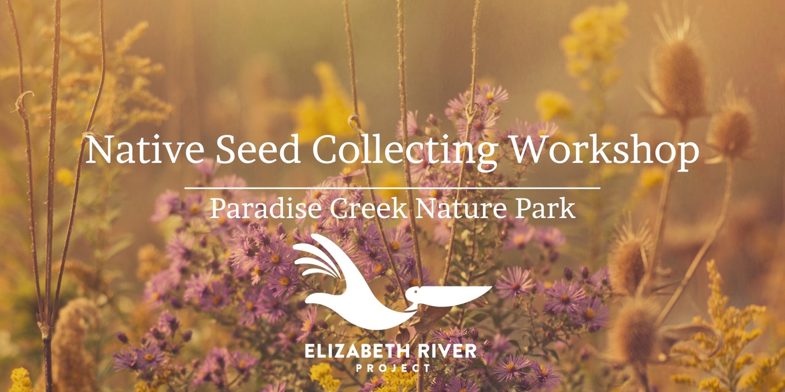 Banner image for Native Seed Collecting Workshop