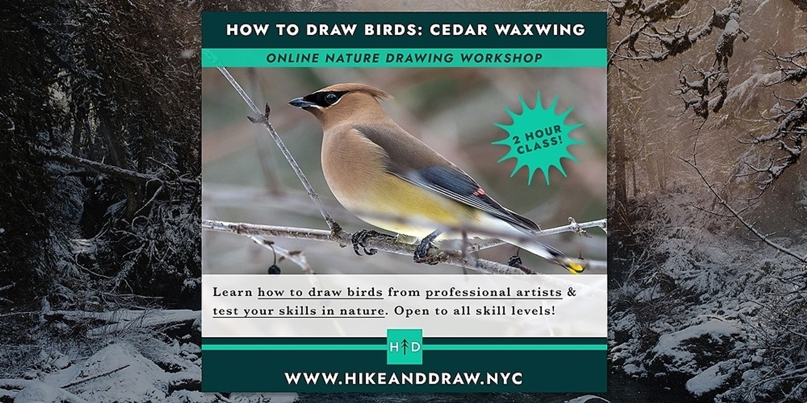 Banner image for How to Draw Birds