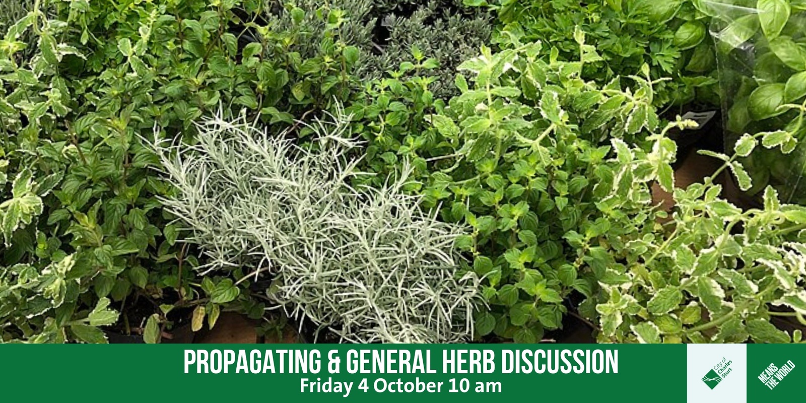 Banner image for Propagating and General Herb Discussion