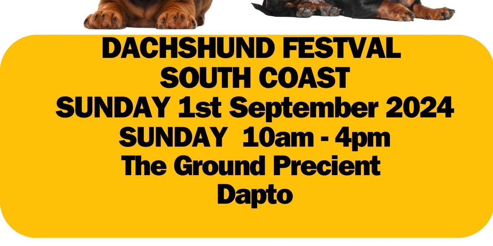 Banner image for Illawarra Dachshund Festival