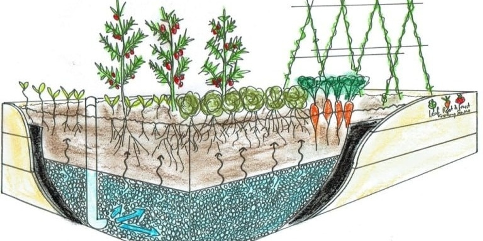 Banner image for Wicking Beds and Waterwise Gardening Workshop
