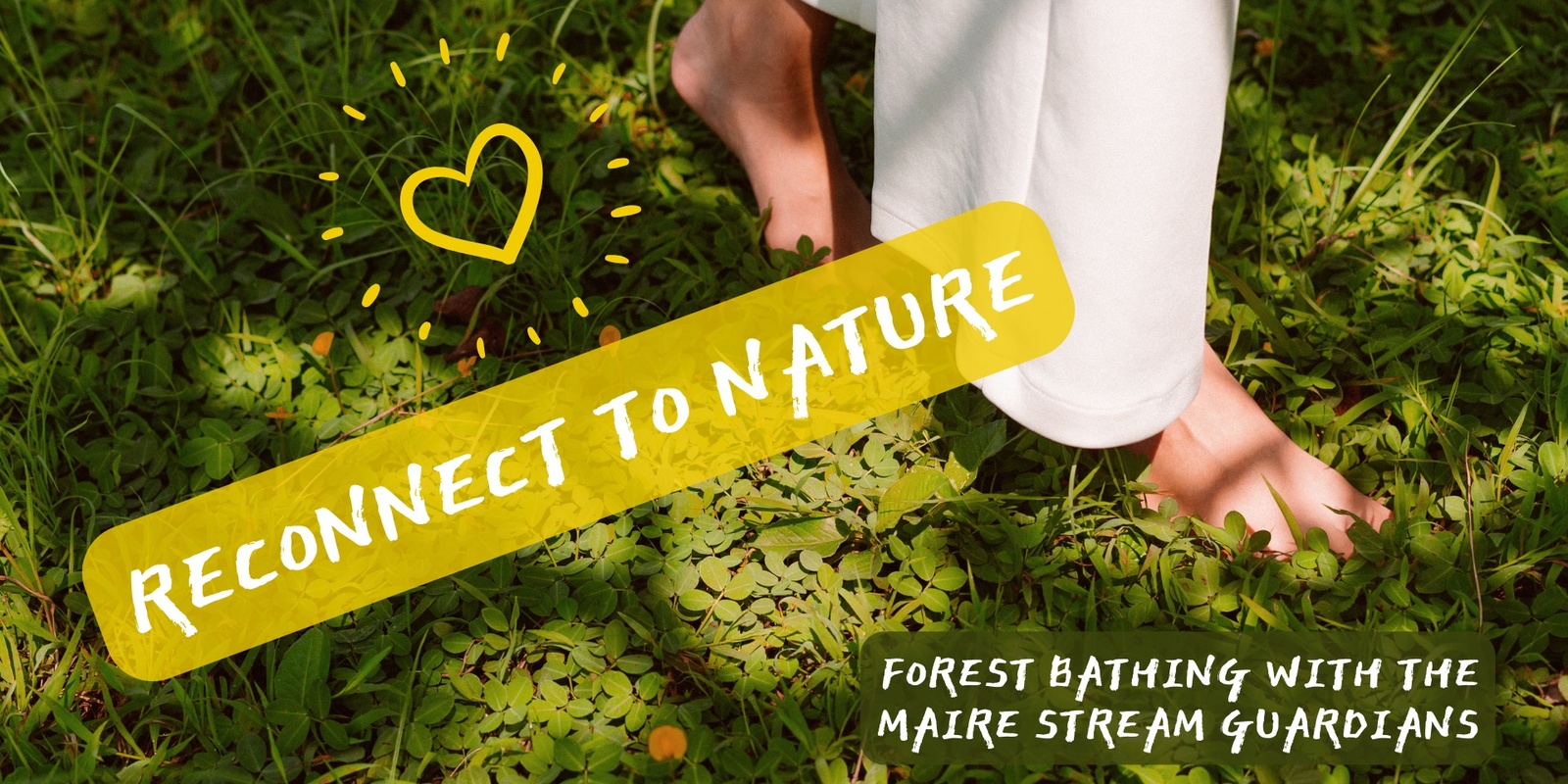 Banner image for Let's Reconnect to Nature through a Forest Bathing experience