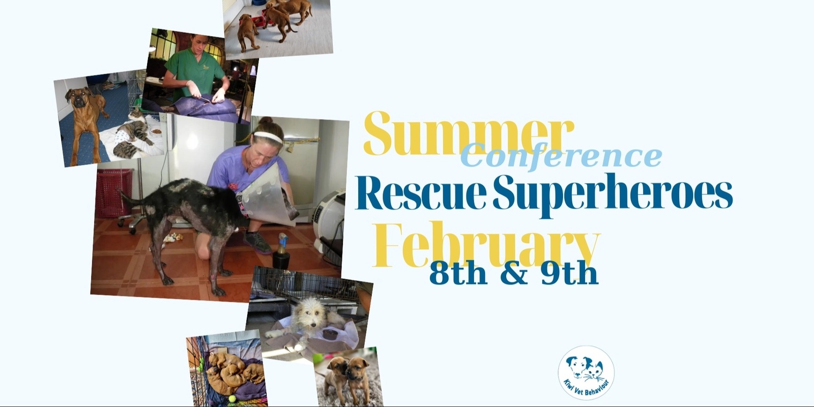 Banner image for Summer Conference: Rescue Superheroes