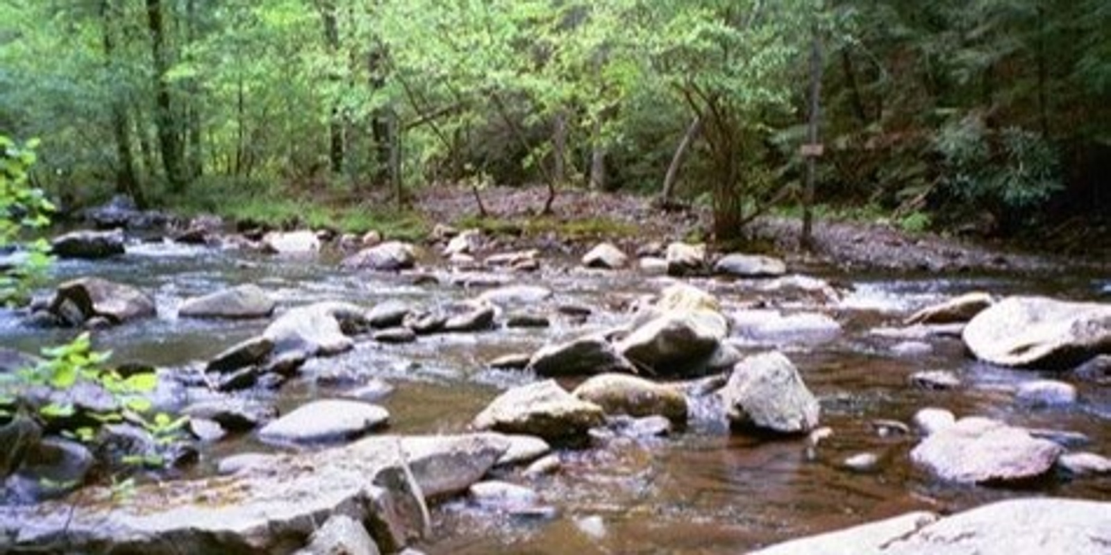 Banner image for KV Youth - Bridal Veil creek walk and waterfall swimming