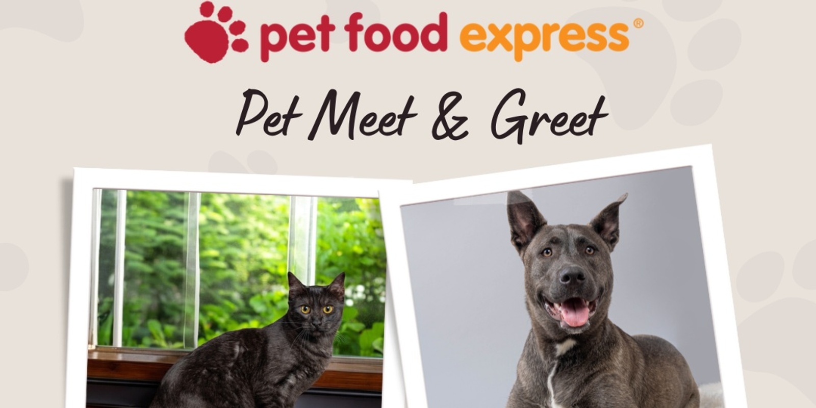 Banner image for AFRP Pet Meet & Greet 