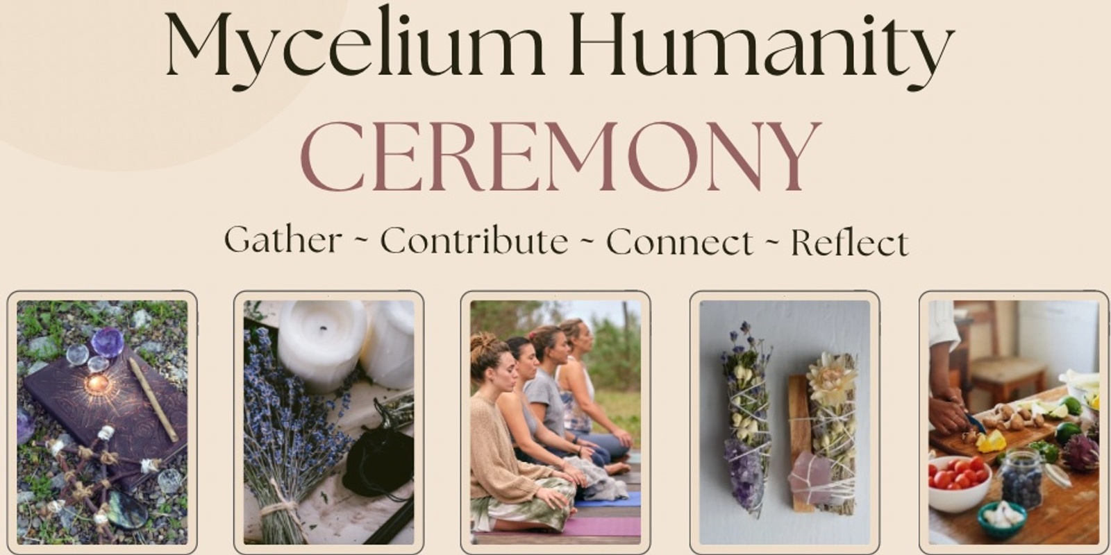 Banner image for Mycelium Humanity - Tas