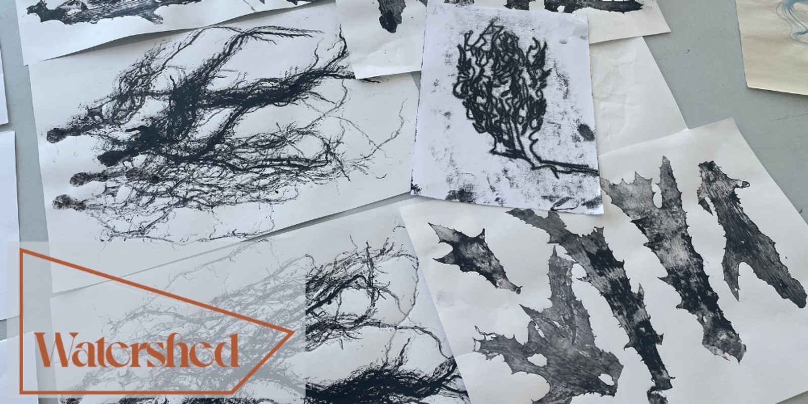 Banner image for Science, Sketch, Seaweed