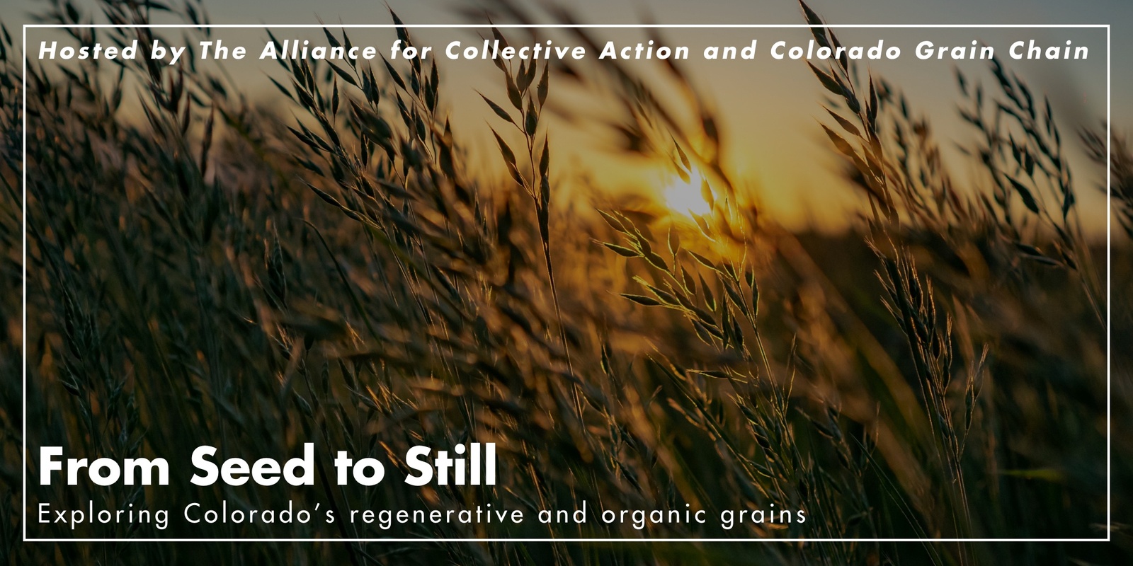 Banner image for 2024 Seed to Still Regenerative Grain Farm Tour