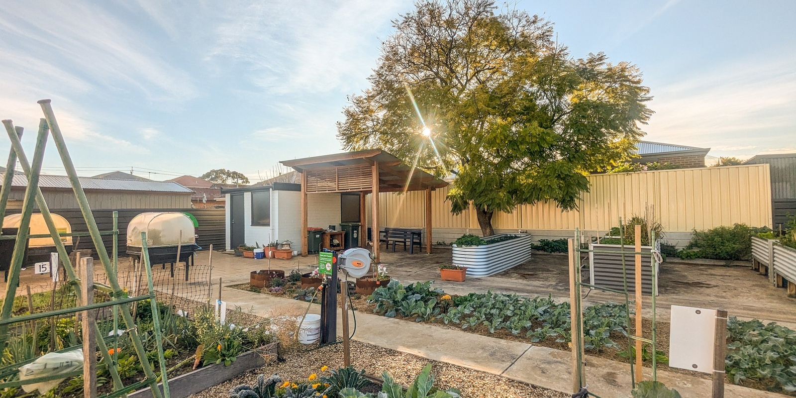 Banner image for West Torrens Community Garden Tour