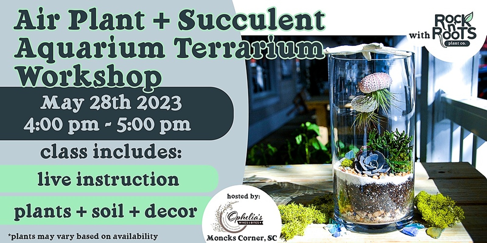 Air Plant + Succulent Aquarium Terrarium Workshop at Ophelia's Wines & Bites (Moncks Corner, SC)