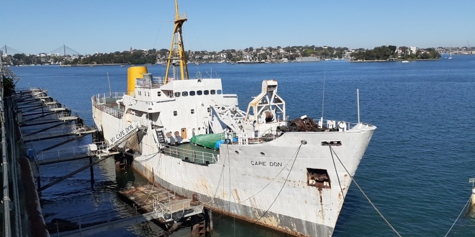 MV Cape Don Society's banner