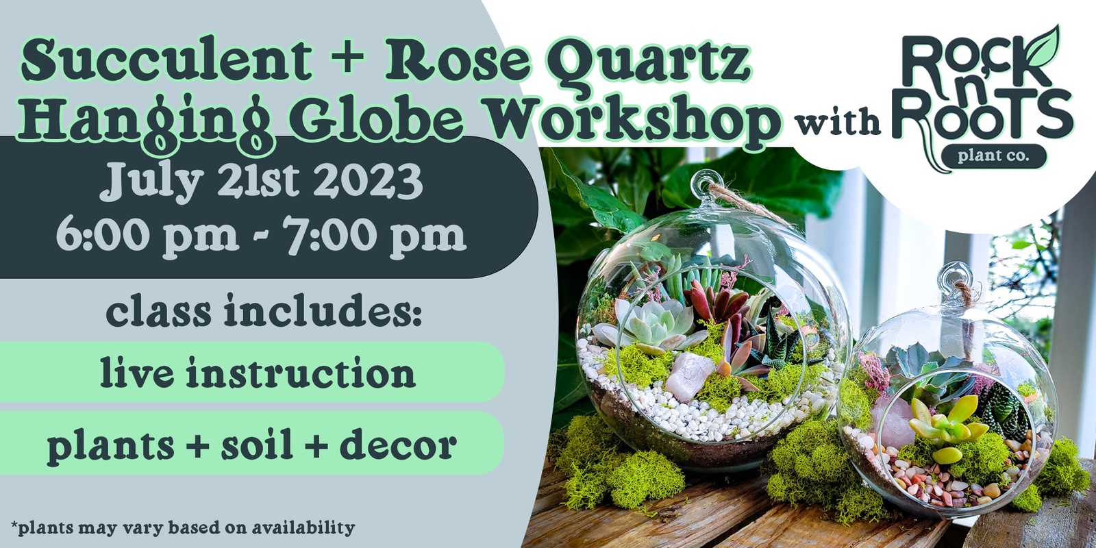 Banner image for Succulent + Rose Quartz Hanging Globe Workshop at Rock n' Roots Plant Co. (Pawleys Island, SC)