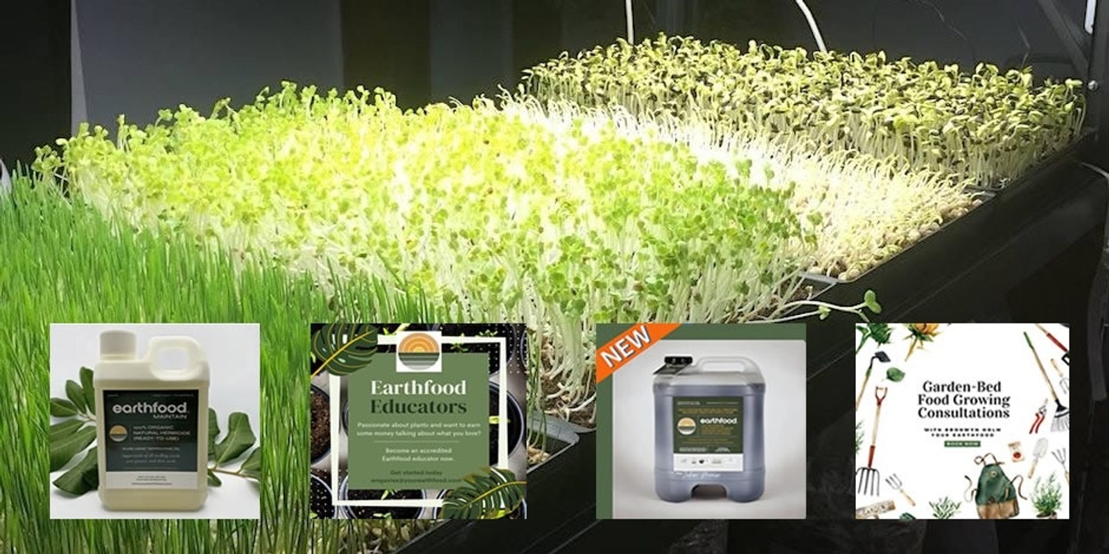 Banner image for Grow Your Own Programmer-able, Nutritional, Chemical Free Microgreens In 10 Days or Less!