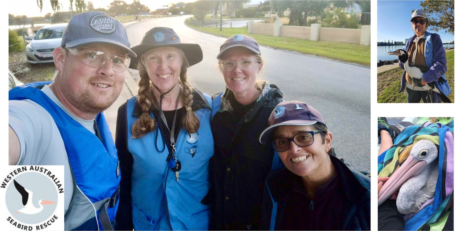 Banner image for Wetland Stories from WA Seabird Rescue Mandurah Volunteers