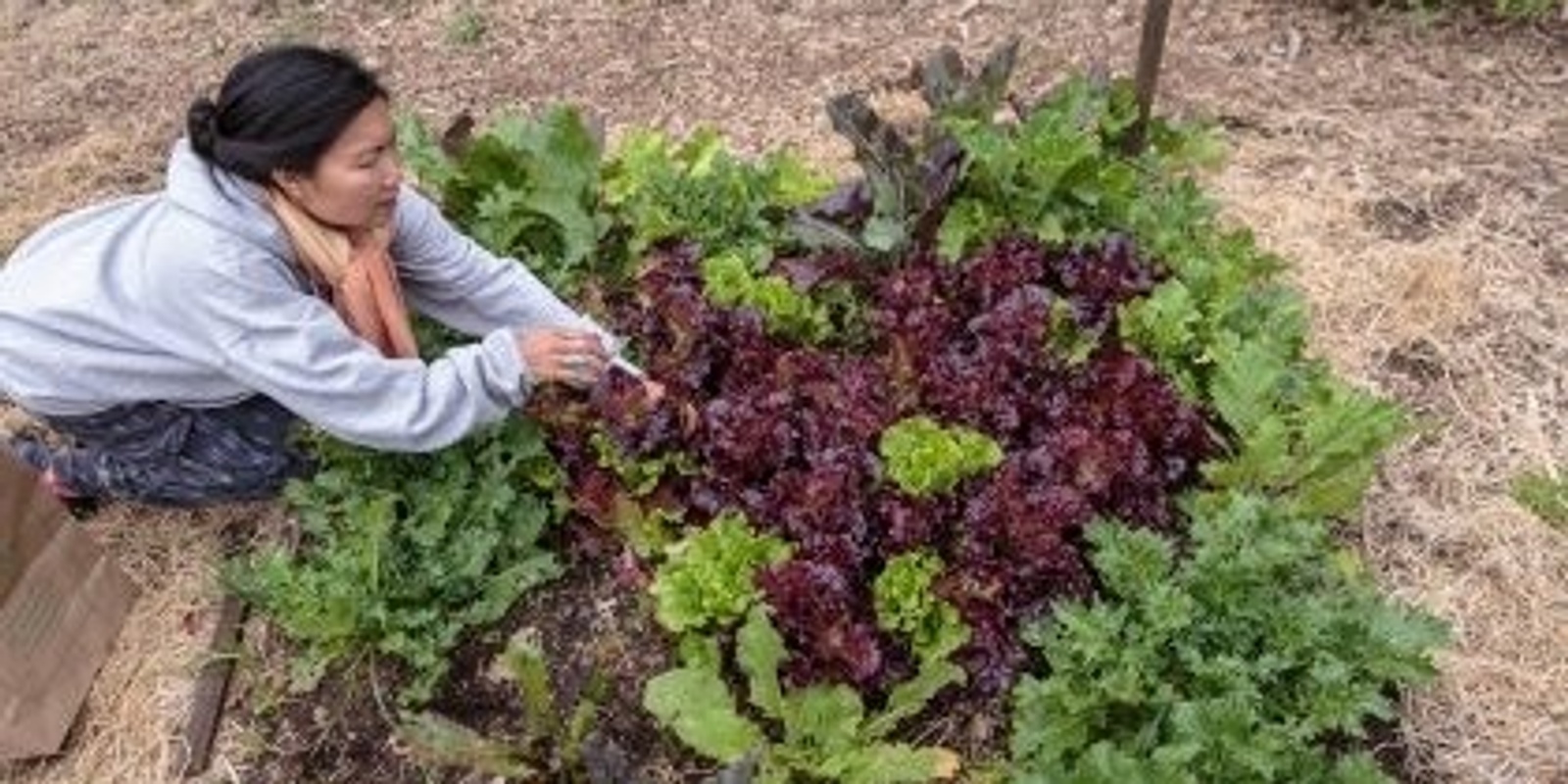 Banner image for Permaculture Day of Action - Merritt College Landscape Horticulture