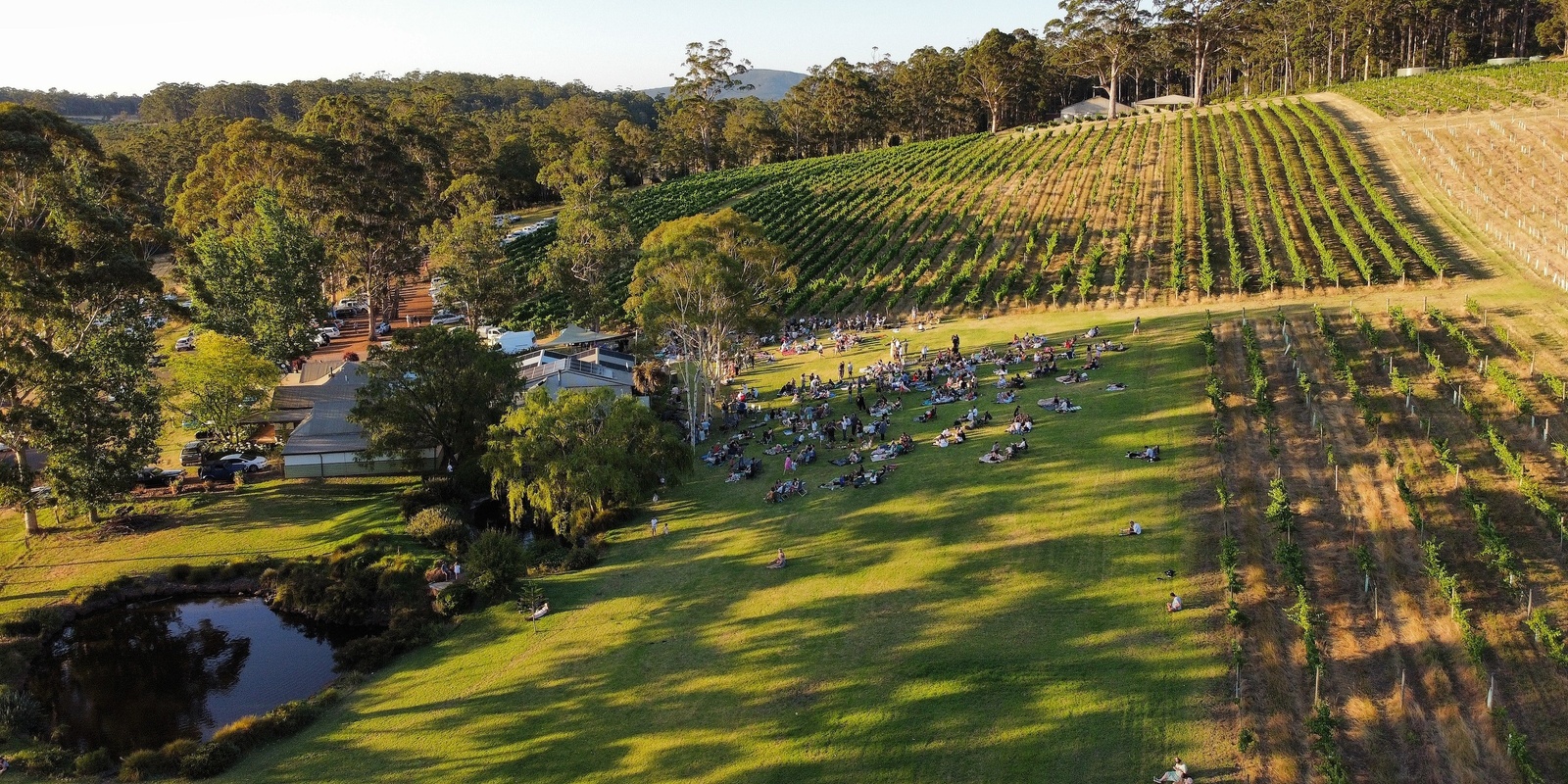 Rockcliffe Winery's banner