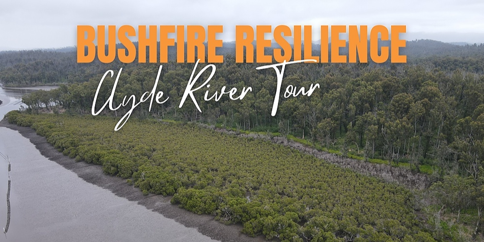 Banner image for Bushfire Resilience Clyde River Boat Tour