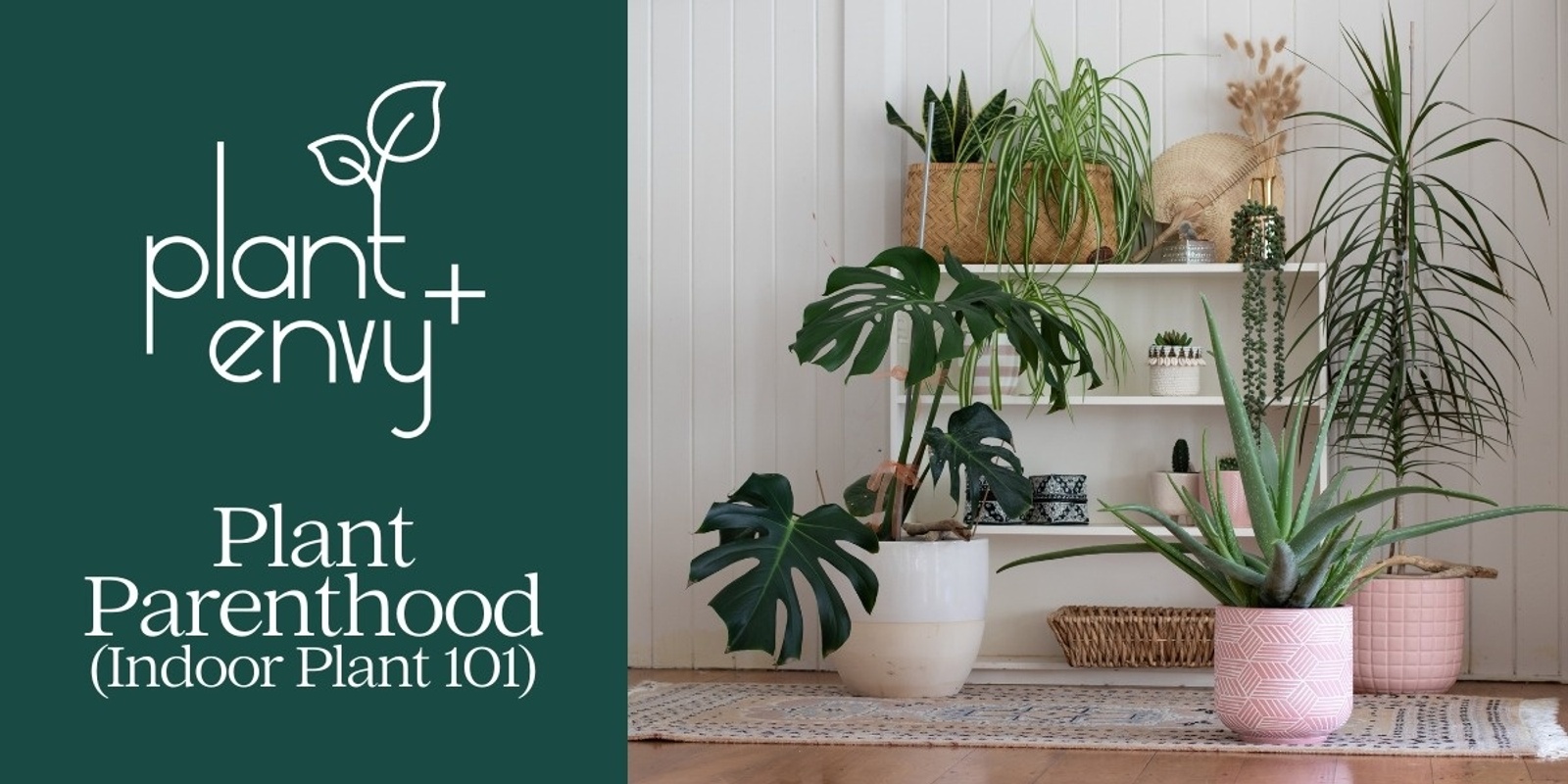 Banner image for Plant Parenthood (Indoor Plants 101)