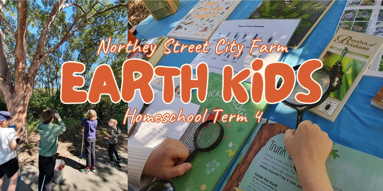 Banner image for Term 4/2025 Earth Kids Homeschool Program - Wednesday Mornings