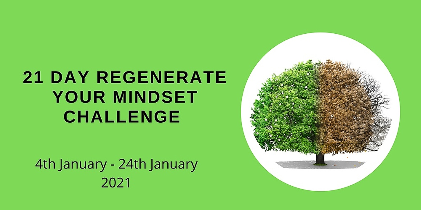 Banner image for 21 Day Regenerate your Mindset Challenge