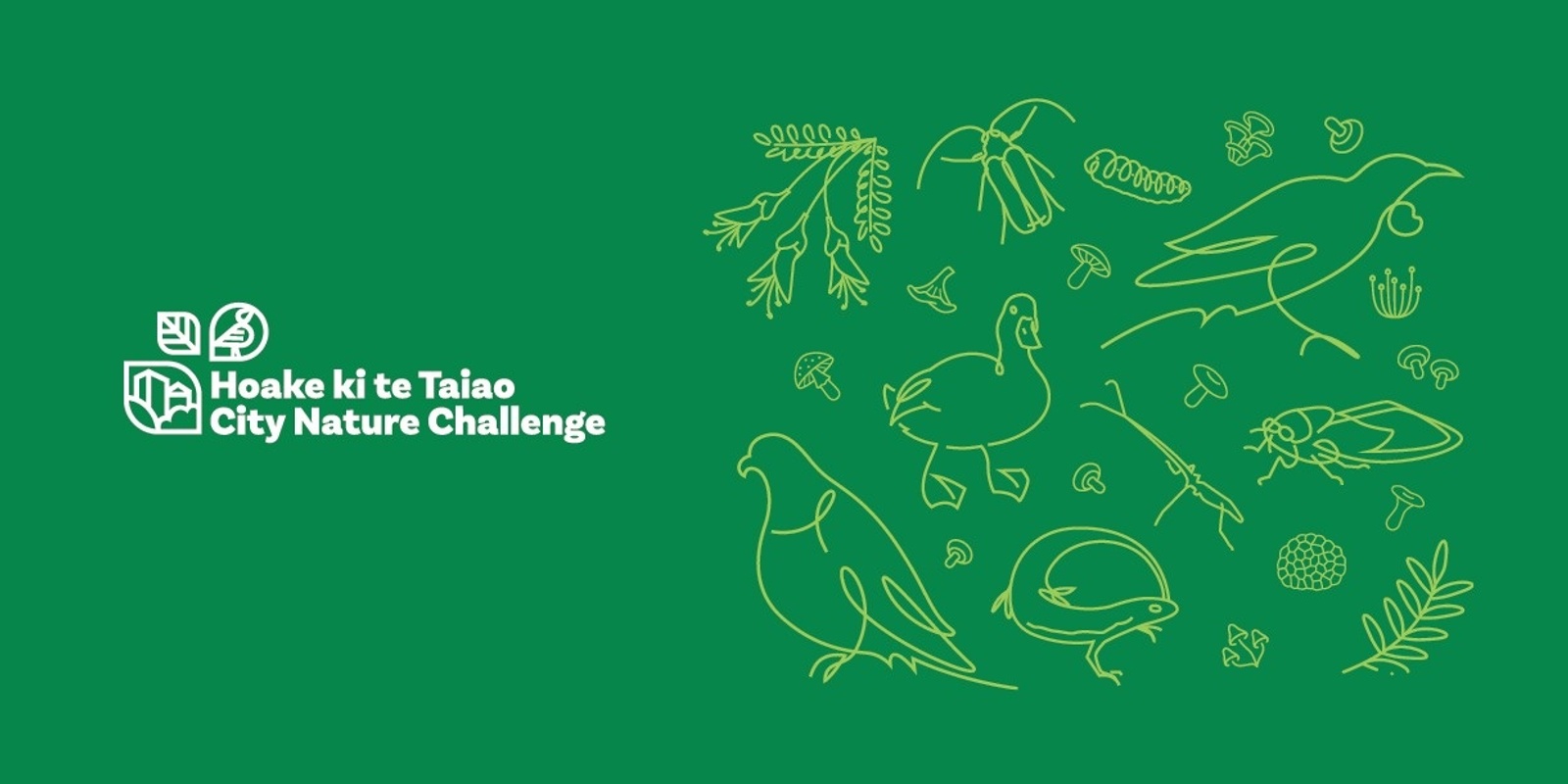Banner image for Results Night! Hoake ki te Taiao City Nature Challenge Ōtautahi