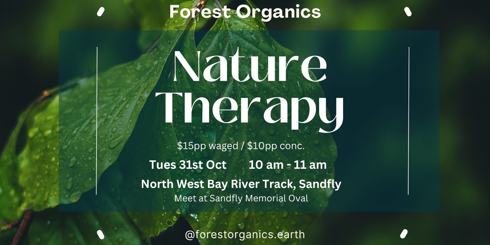 Banner image for Nature Therapy with Forest Organics in SANDFLY (Tues 31st Oct)