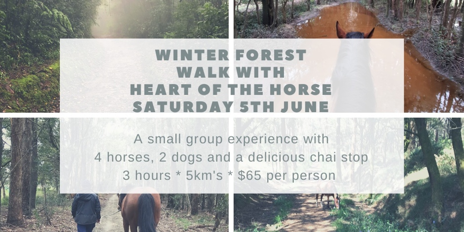 Banner image for Winter Forest Walk with Heart of the Horse 3rd July 2021