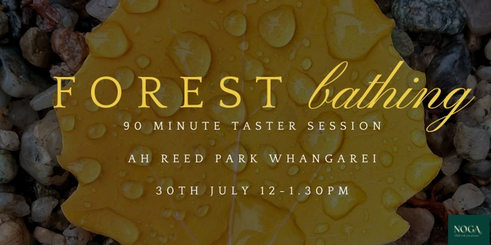 Banner image for Forest Bathing Taster Session