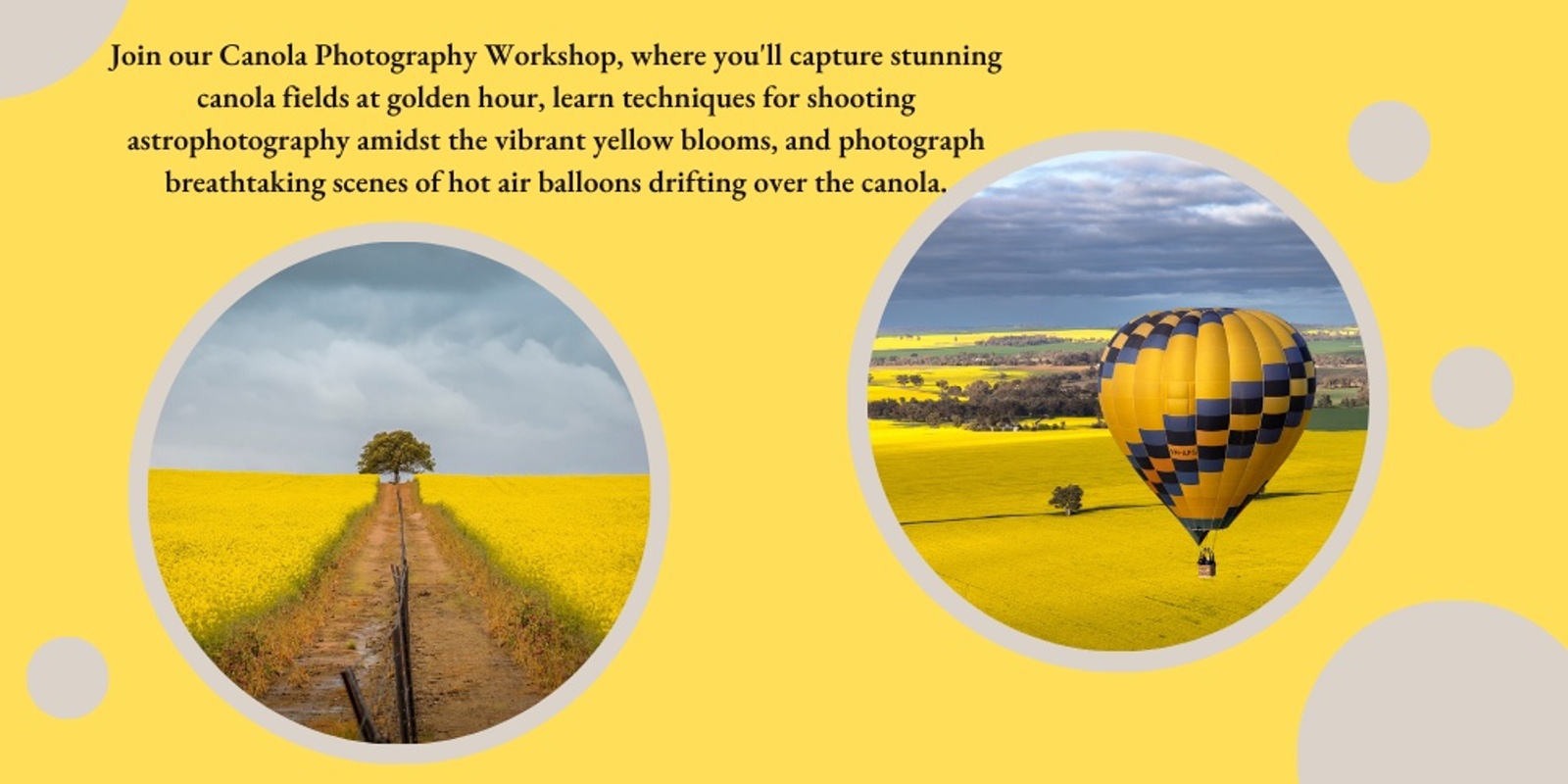 Banner image for Canola Extravaganza Photography Workshop