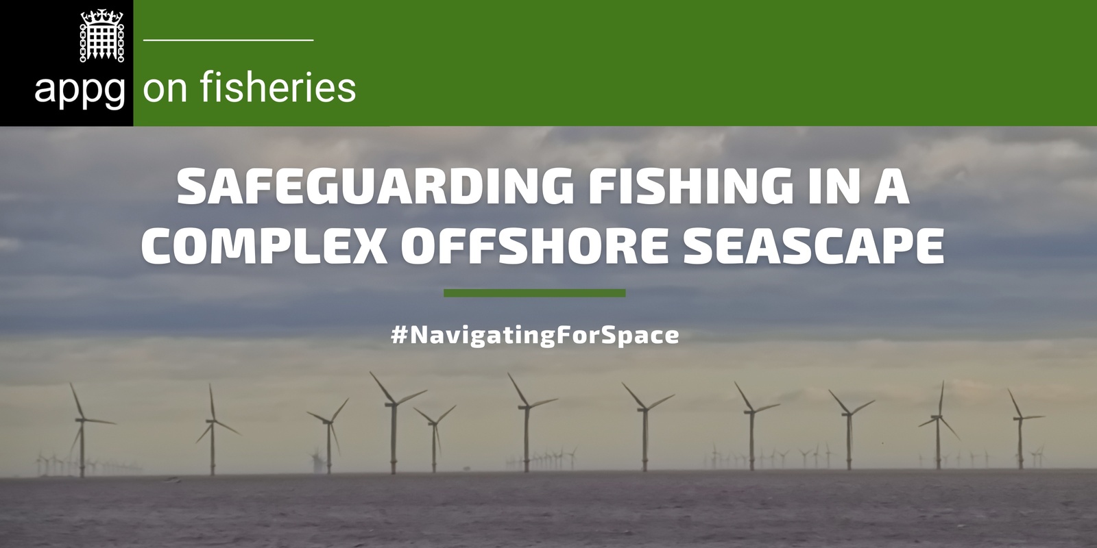 Banner image for Safeguarding Fishing in a Complex Offshore Seascape 