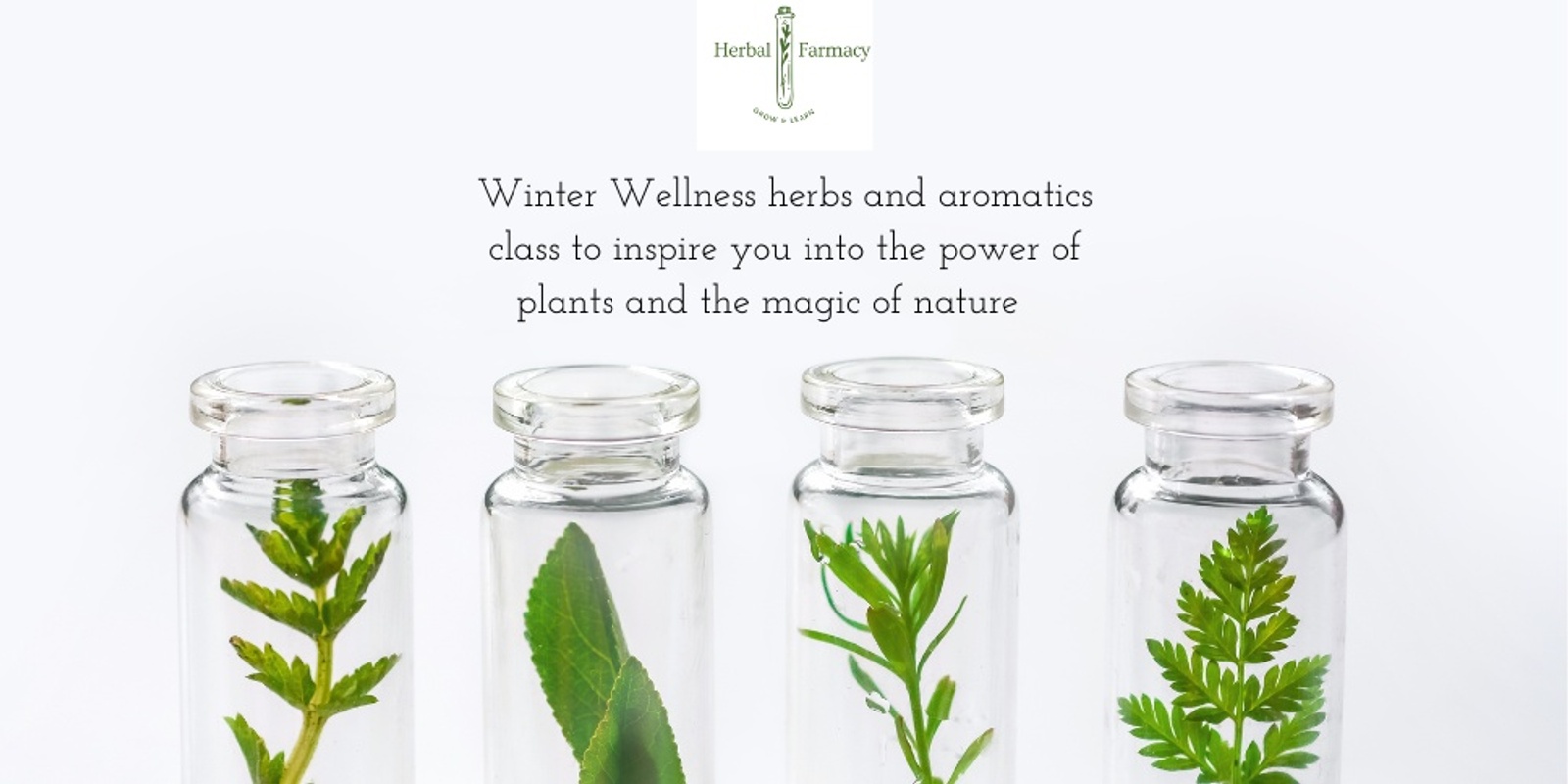 Banner image for Winter Wellness - A Herbal Farmacy Afternoon