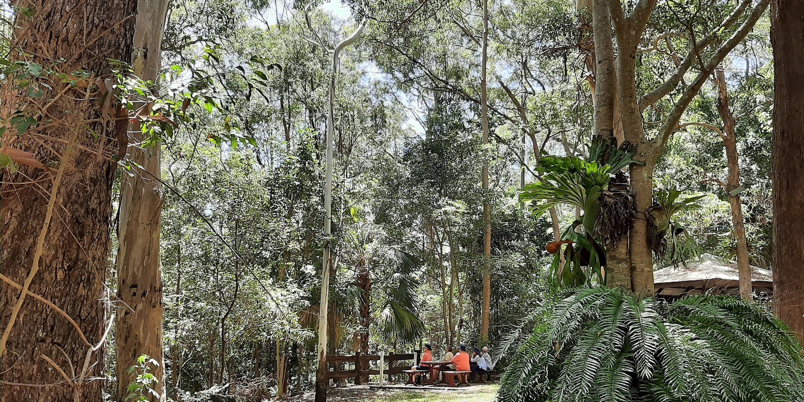 Banner image for Private group Nature Connection session at Foote Sanctuary