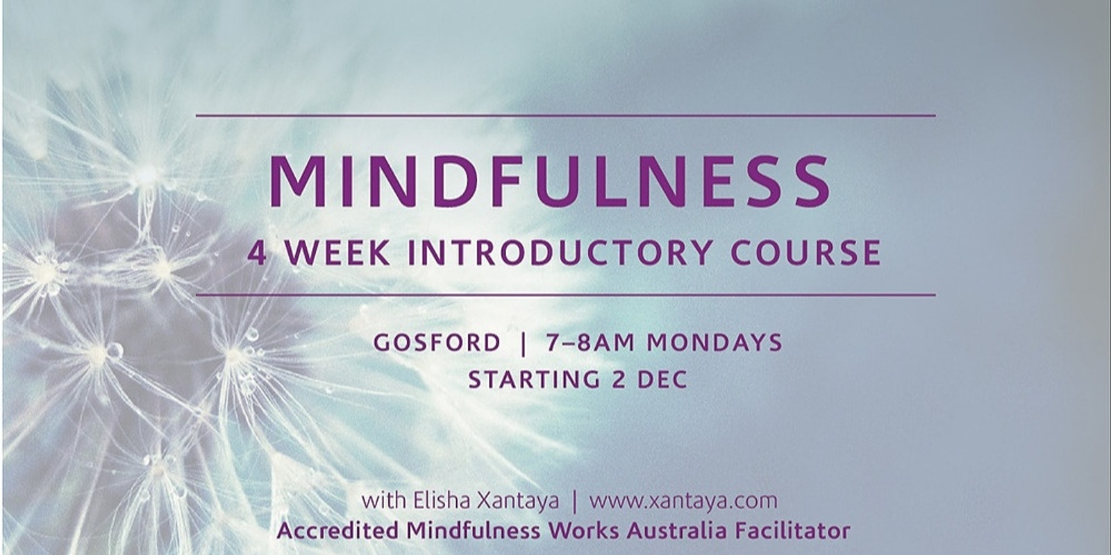 Banner image for Introduction to Mindfulness – 4 Week Course