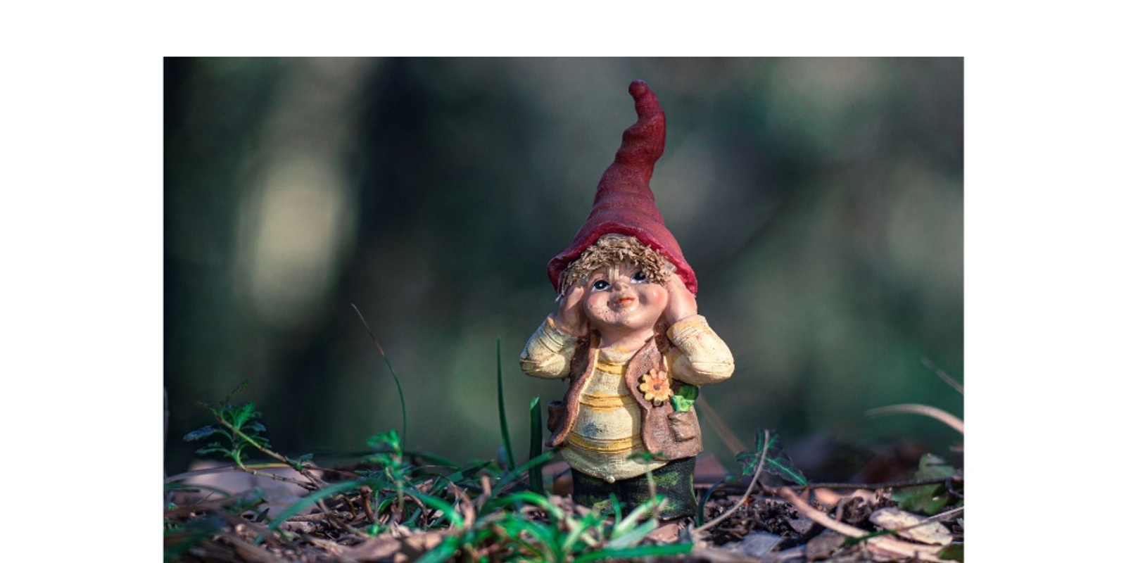 Banner image for A gnomes world 