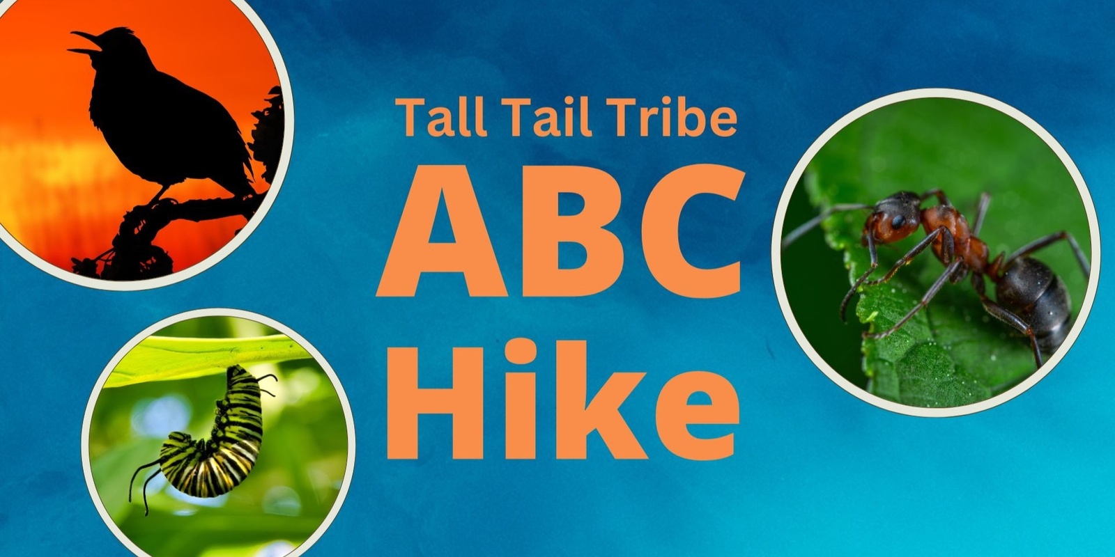 Banner image for Tall Tail Tribe: ABC Hike