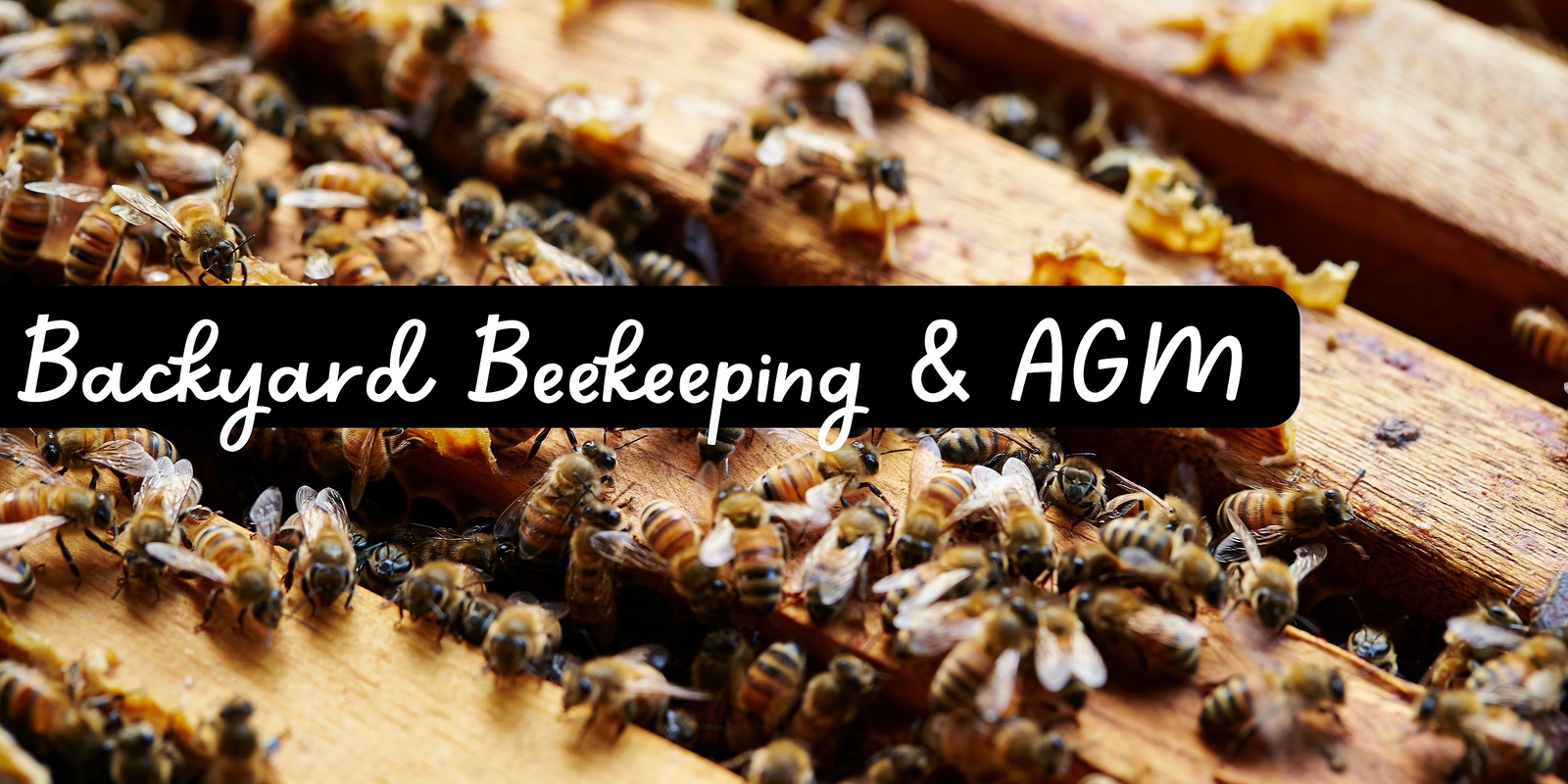 Banner image for Backyard Beekeeping & Corowa District Landcare AGM