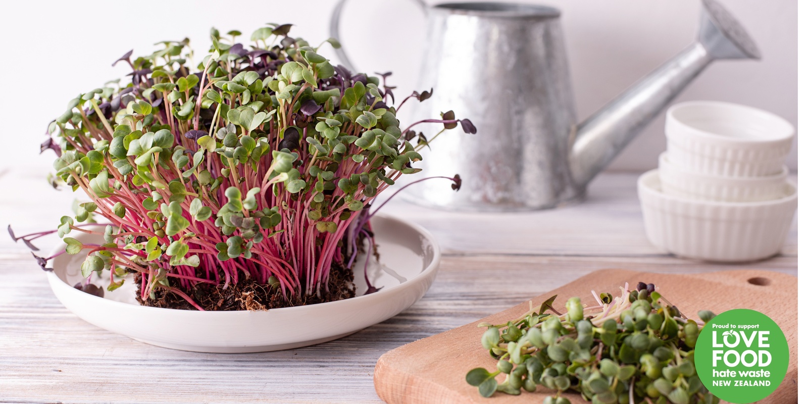 Banner image for Sprout and Savour: A Microgreens & Salad Growing Workshop - Albany