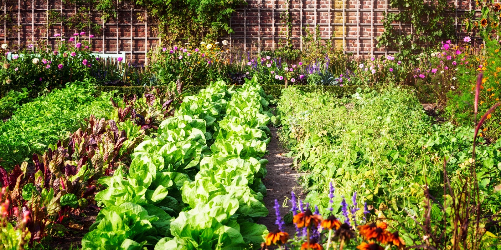 Banner image for  Make a Salad Garden Workshop