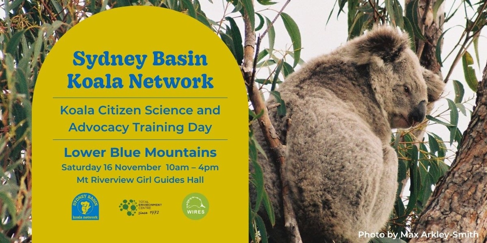 Banner image for Koala Training Day in the Lower Blue Mountains