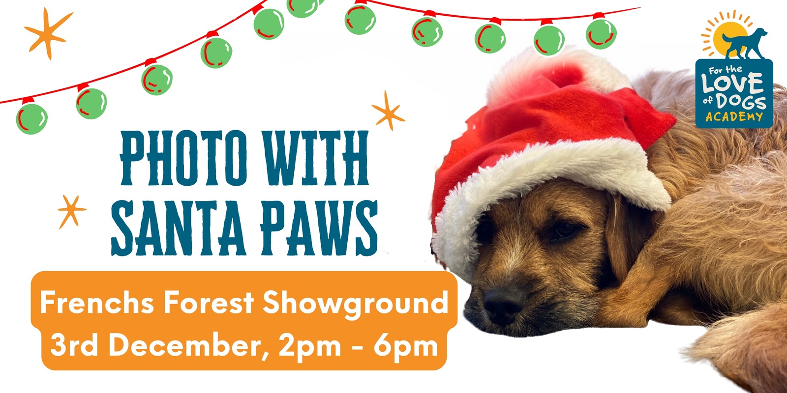 Banner image for Photos with Santa Paws - IDPWD Day 2024